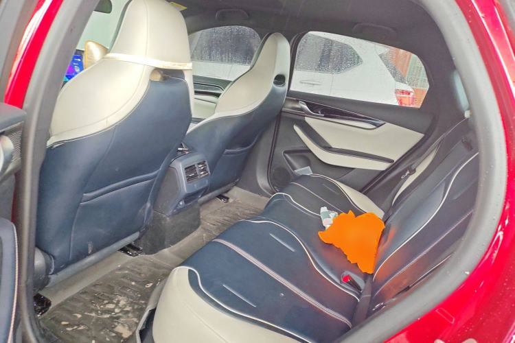 Used BYD Qin PLUS 2021 EV 500KM Luxury Model Left Rear Seat