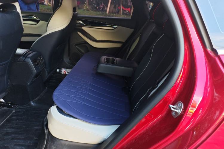 Used BYD Qin PLUS 2021 DM-i 55KM Flagship Model Left Rear Seat