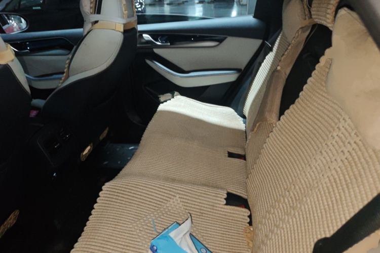 Used BYD Qin PLUS 2021 DM-i 120KM Prestige Model Left Rear Seat