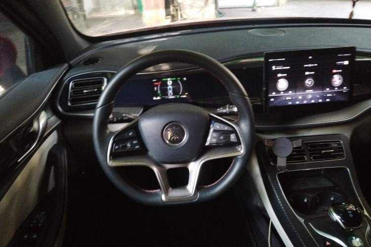 Used BYD Qin PLUS 2021 EV 500KM Luxury Model Steering Wheel
