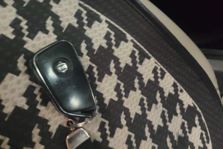 Used BYD Qin PLUS 2021 EV 500KM Luxury Model Vehicle Key