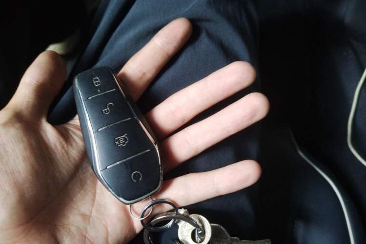 Used BYD Qin PLUS 2021 EV 500KM Luxury Model Vehicle Key