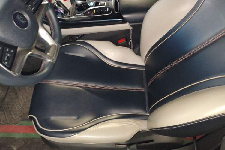 Used BYD Qin PLUS 2021 EV 500KM Luxury Model Driver Seat