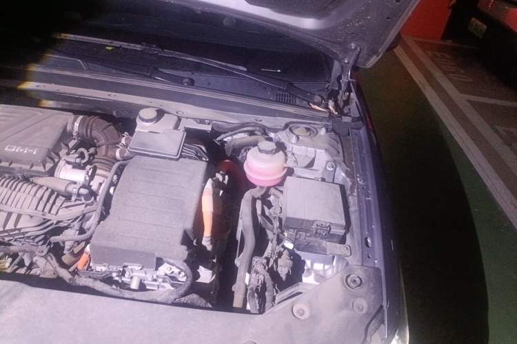 Used BYD Qin PLUS 2021 DM-i 55KM Flagship Model Engine Bay Left