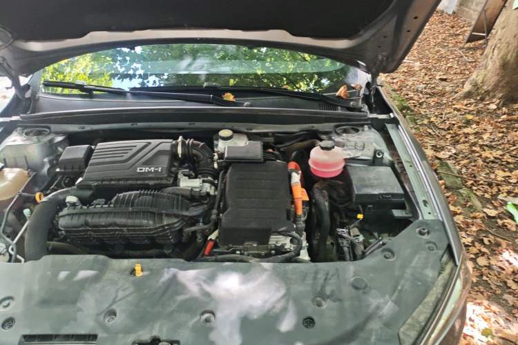 Used BYD Qin PLUS 2021 DM-i 55KM Flagship Model Engine Bay Left