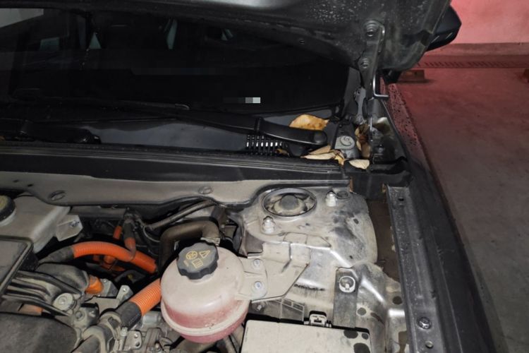 Used BYD Qin PLUS 2021 DM-i 55KM Flagship Model Engine Bay Left