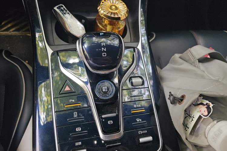 Used BYD Qin PLUS 2021 EV 500KM Luxury Model Gear Lever