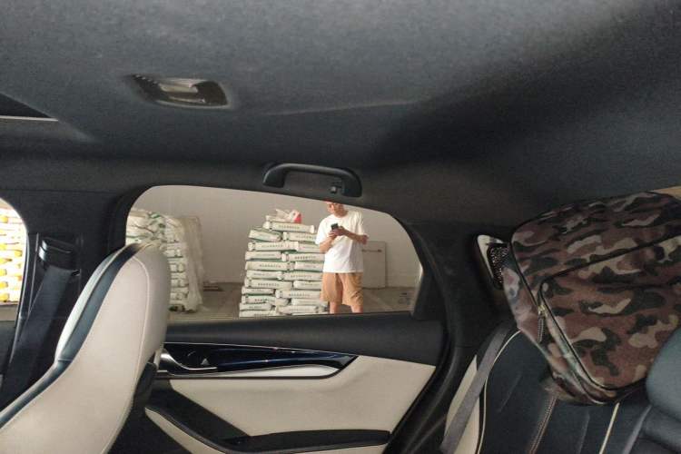 Used BYD Qin PLUS 2021 EV 500KM Luxury Model Headliner