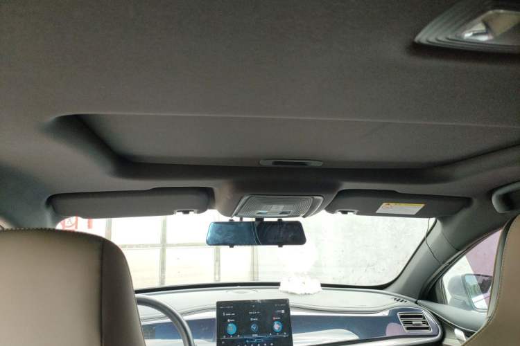 Used BYD Qin PLUS 2021 EV 500KM Luxury Model Headliner