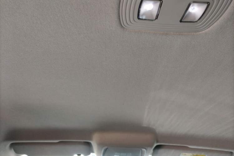 Used BYD Qin PLUS 2021 EV 420KM Commuter Edition Headliner