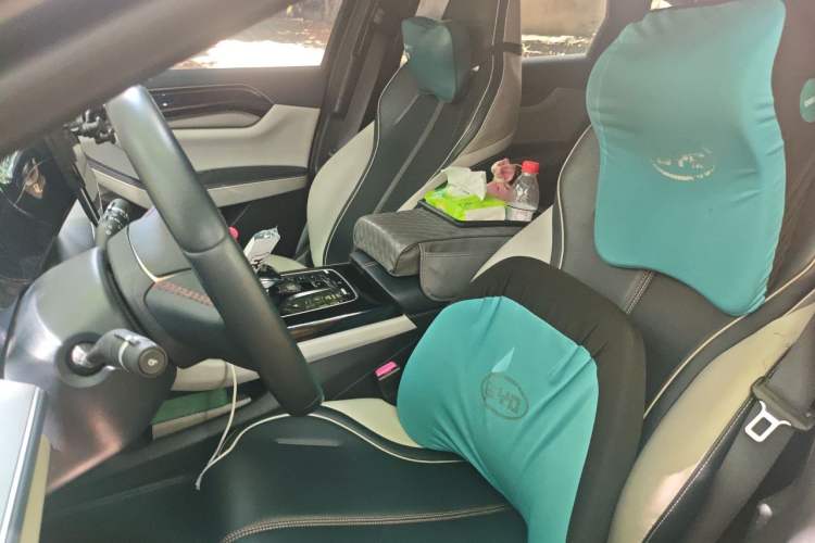 Used BYD Qin PLUS 2021 DM-i 55KM Flagship Model Left Front Seat