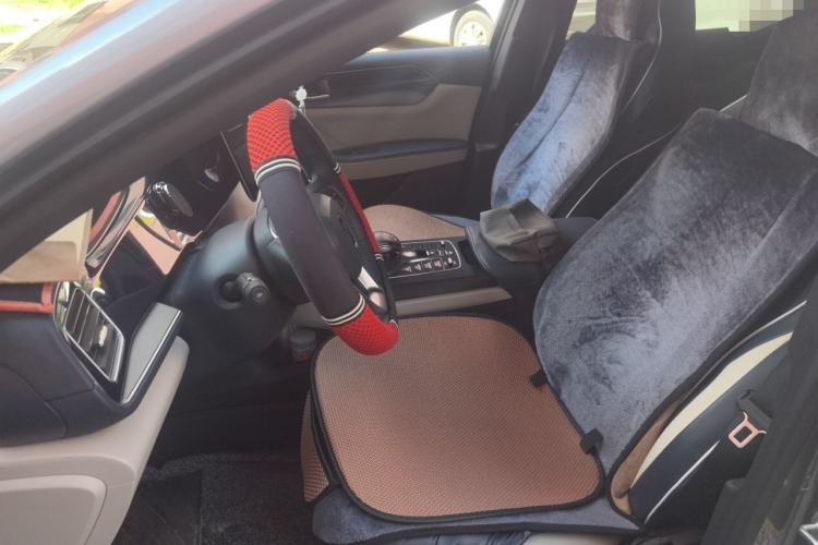 Used BYD Qin PLUS 2021 DM-i 55KM Flagship Model Left Front Seat