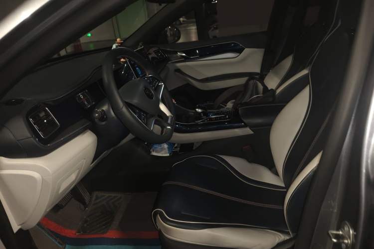 Used BYD Qin PLUS 2021 EV 500KM Luxury Model Left Front Seat