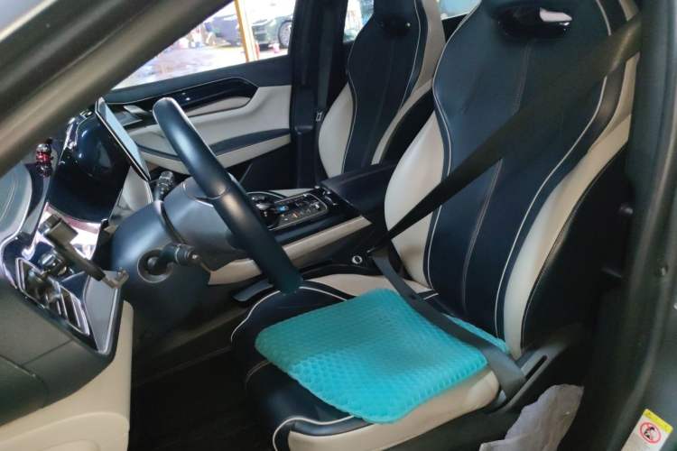 Used BYD Qin PLUS 2021 EV 500KM Luxury Model Left Front Seat