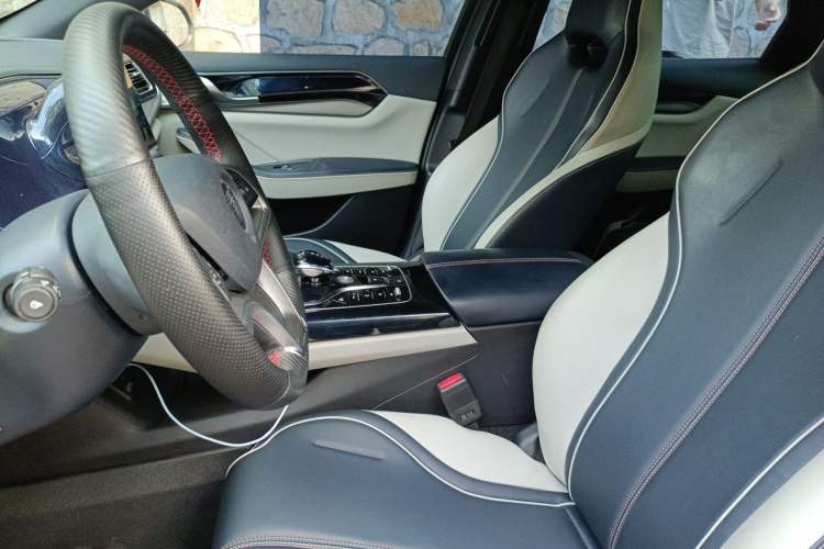 Used BYD Qin PLUS 2021 EV 500KM Premium Model Left Front Seat