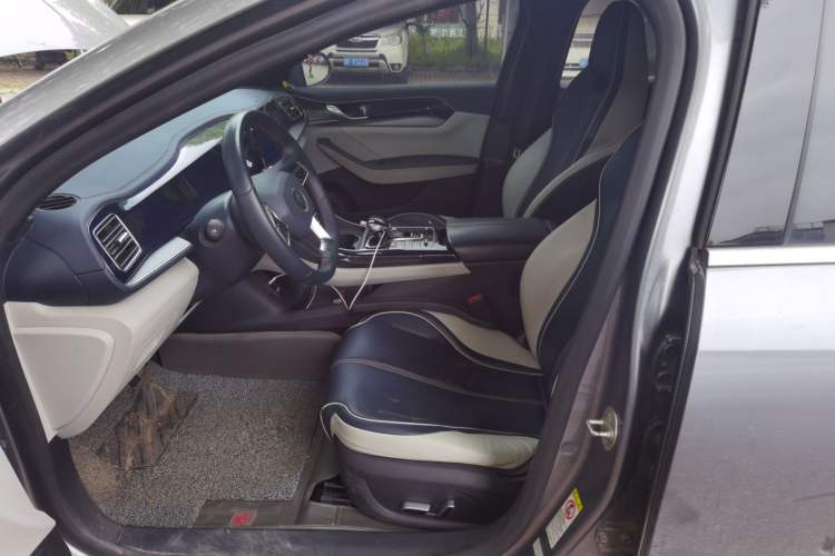 Used BYD Qin PLUS 2021 DM-i 55KM Flagship Model Left Front Seat