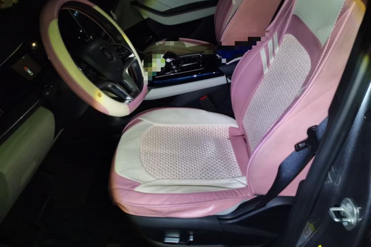 Used BYD Qin PLUS 2021 DM-i 120KM Flagship Model Left Front Seat