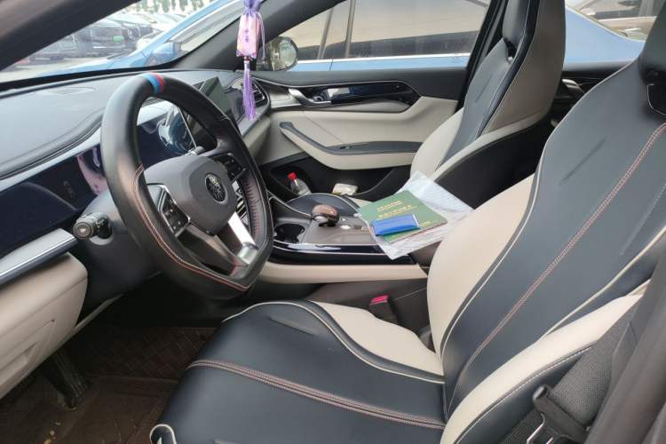 Used BYD Qin PLUS 2021 DM-i 120KM Prestige Model Left Front Seat