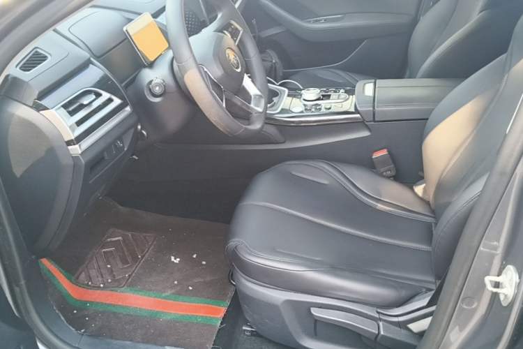 Used BYD Qin PLUS 2021 EV 400KM Leading Comfort Edition Left Front Seat