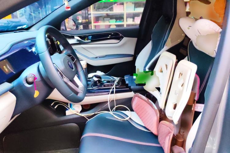 Used BYD Qin PLUS 2021 DM-i 120KM Prestige Model Left Front Seat