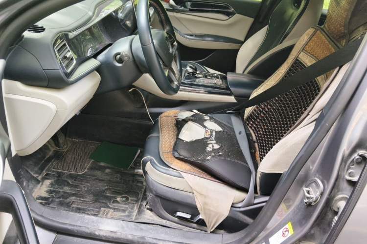 Used BYD Qin PLUS 2021 EV 500KM Luxury Model Left Front Seat