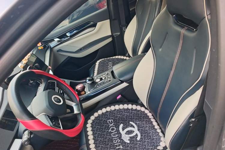 Used BYD Qin PLUS 2021 DM-i 55KM Flagship Model Left Front Seat