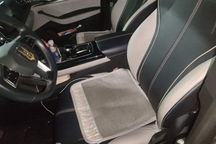Used BYD Qin PLUS 2021 DM-i 55KM Flagship Model Left Front Seat