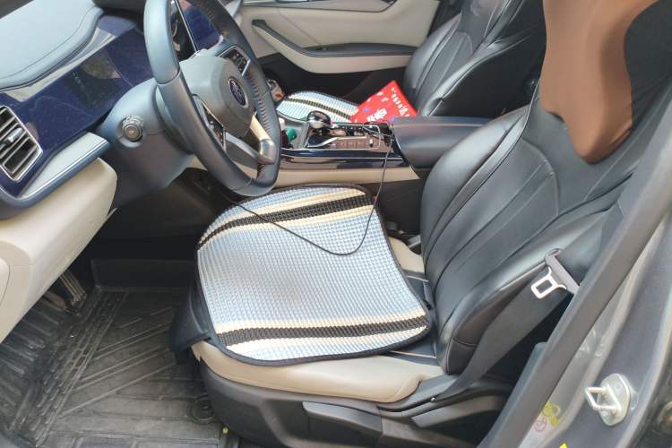 Used BYD Qin PLUS 2021 DM-i 120KM Prestige Model Left Front Seat