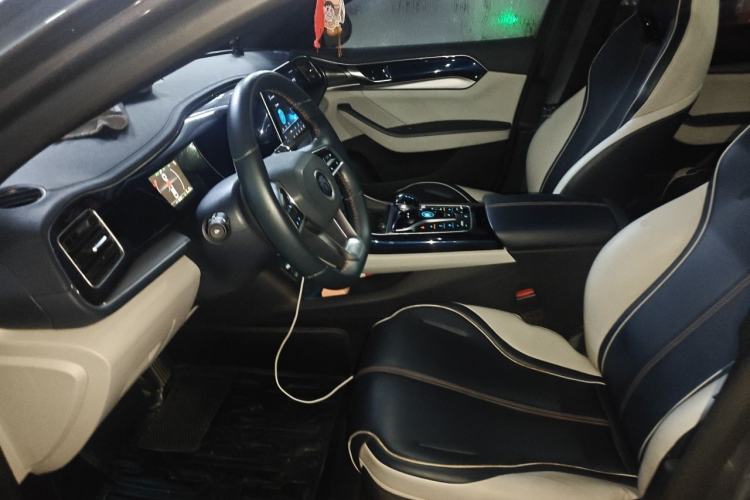 Used BYD Qin PLUS 2021 DM-i 55KM Flagship Model Left Front Seat