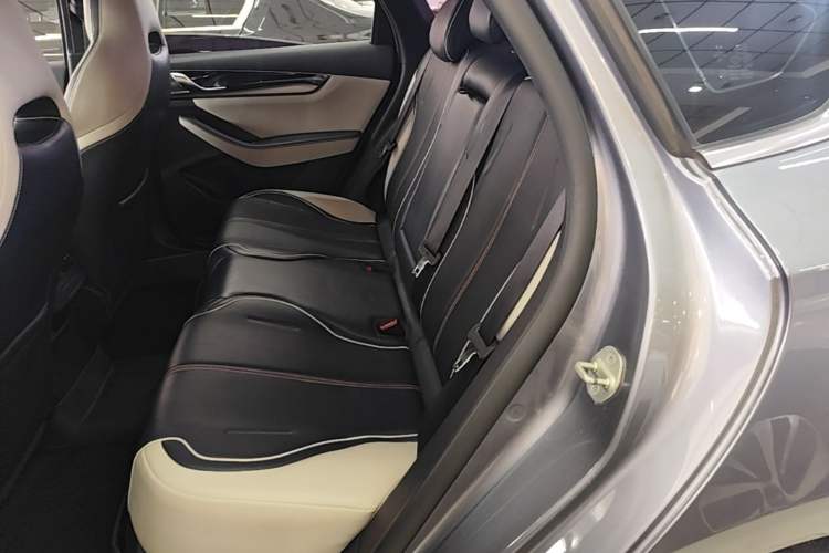 Used BYD Qin PLUS 2021 EV 500KM Premium Model Left Rear Seat