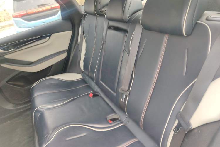 Used BYD Qin PLUS 2021 EV 500KM Premium Model Left Rear Seat