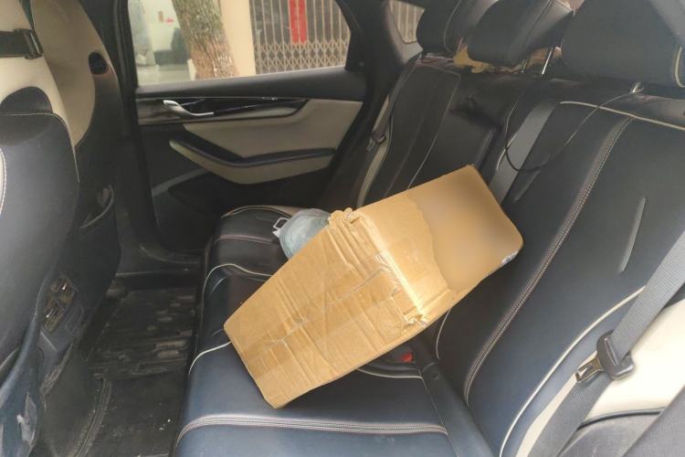 Used BYD Qin PLUS 2021 DM-i 55KM Flagship Model Left Rear Seat