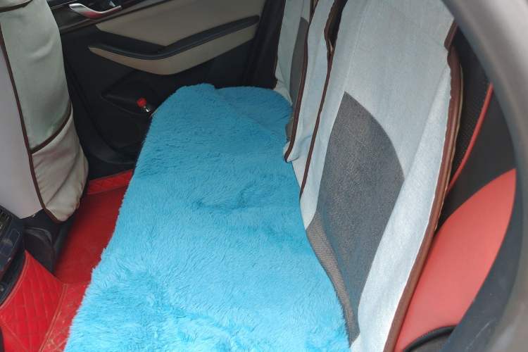 Used BYD Qin PLUS 2021 DM-i 55KM Flagship Model Left Rear Seat