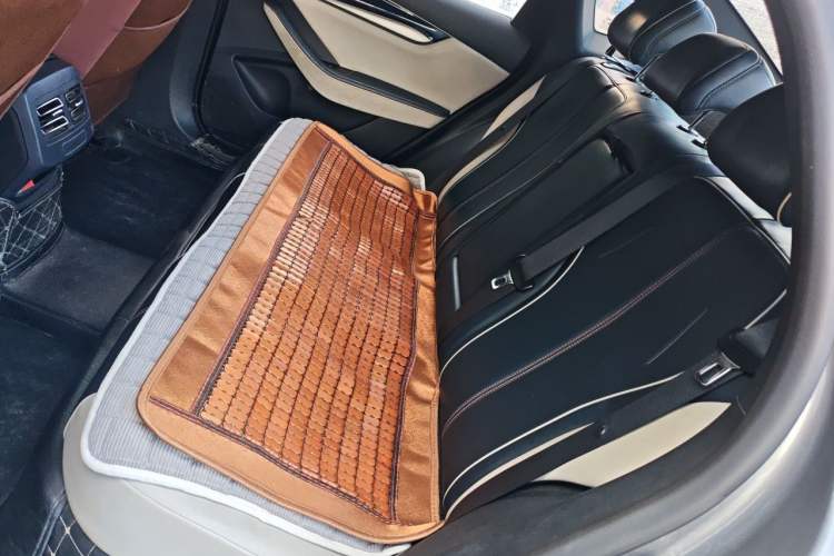 Used BYD Qin PLUS 2021 DM-i 55KM Flagship Model Left Rear Seat