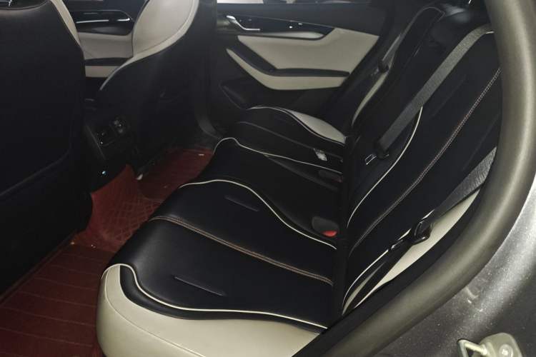 Used BYD Qin PLUS 2021 DM-i 120KM Prestige Model Left Rear Seat
