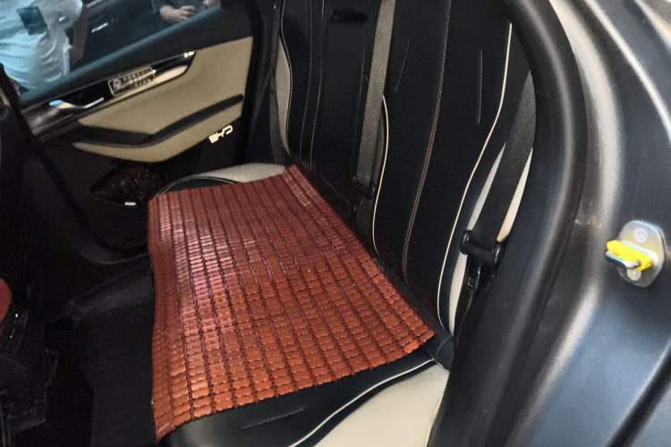 Used BYD Qin PLUS 2021 EV 500KM Luxury Model Left Rear Seat