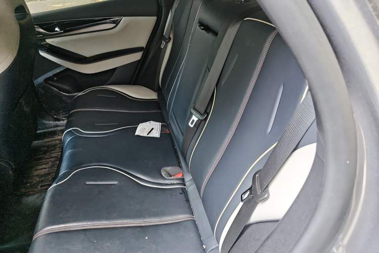 Used BYD Qin PLUS 2021 DM-i 120KM Flagship Model Left Rear Seat