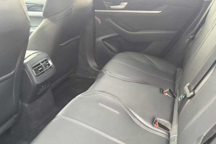 Used BYD Qin PLUS 2021 EV 400KM Leading Comfort Edition Left Rear Seat