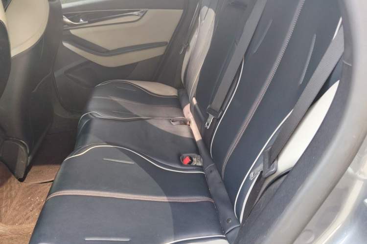 Used BYD Qin PLUS 2021 EV 500KM Luxury Model Left Rear Seat