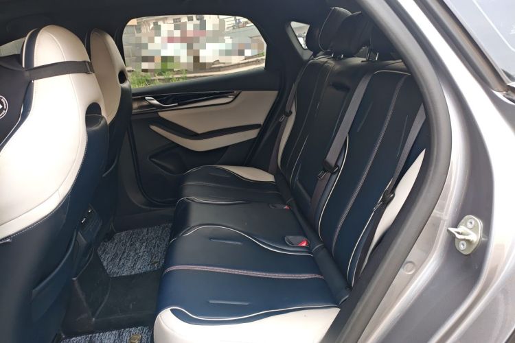 Used BYD Qin PLUS 2021 DM-i 55KM Flagship Model Left Rear Seat