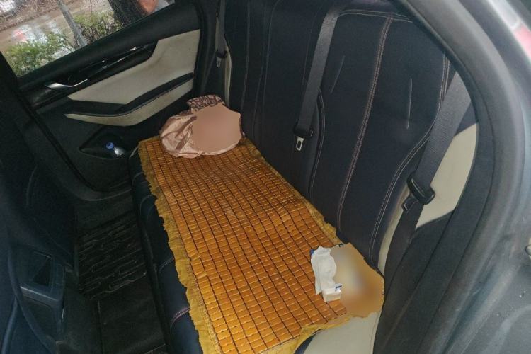 Used BYD Qin PLUS 2021 DM-i 55KM Prestige Model Left Rear Seat