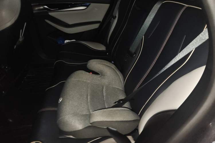 Used BYD Qin PLUS 2021 DM-i 120KM Prestige Model Left Rear Seat