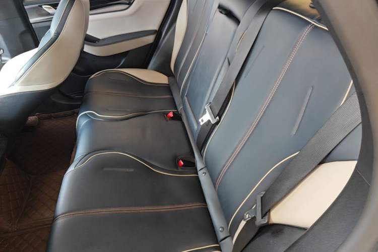Used BYD Qin PLUS 2021 EV 500KM Luxury Model Left Rear Seat