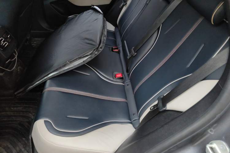 Used BYD Qin PLUS 2021 EV 500KM Luxury Model Left Rear Seat