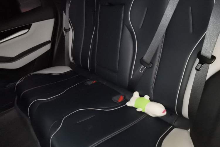 Used BYD Qin PLUS 2021 DM-i 55KM Flagship Model Left Rear Seat