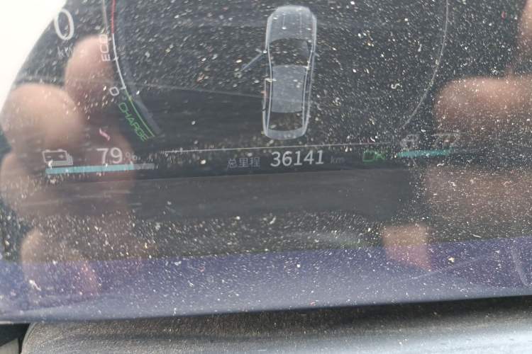 Used BYD Qin PLUS 2021 DM-i 120KM Flagship Model Odometer Close Up