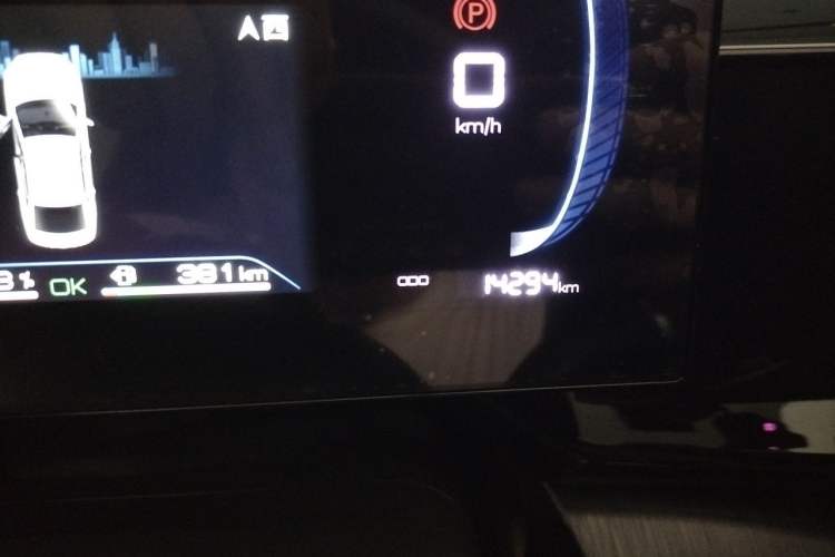 Used BYD Qin PLUS 2021 DM-i 55KM Prestige Model Odometer Close Up