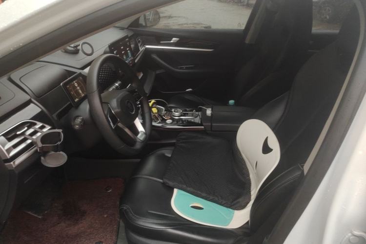 Used BYD Qin PLUS 2021 EV 400KM Leading Comfort Edition Driver Seat