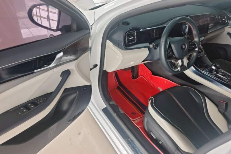 Used BYD Qin PLUS 2021 EV 500KM Premium Model Driver Seat