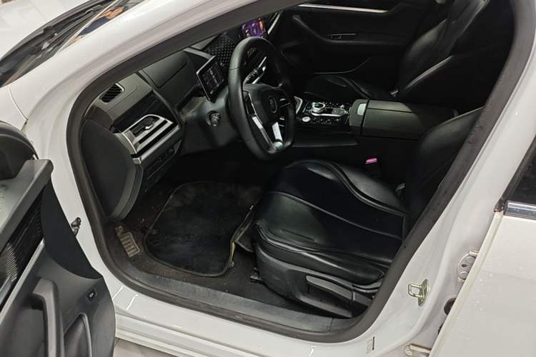 Used BYD Qin PLUS 2021 EV 420KM Commuter Edition Driver Seat